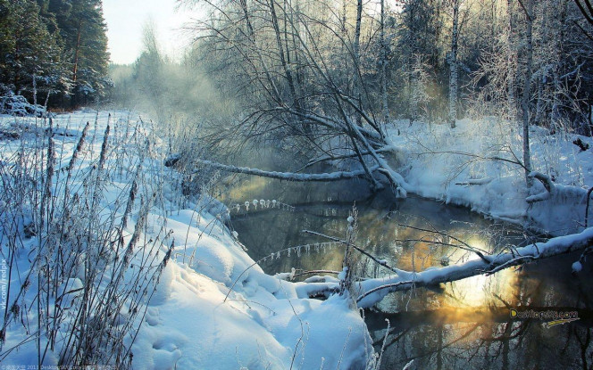 A Delicious image · #3371