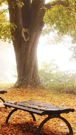 A Delicious image · #157