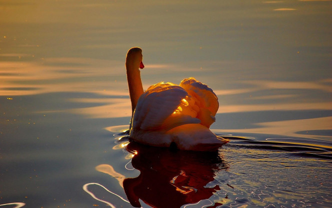 A Delicious image · #2825