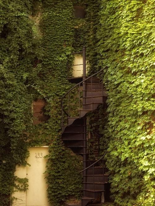 A Delicious image · #238