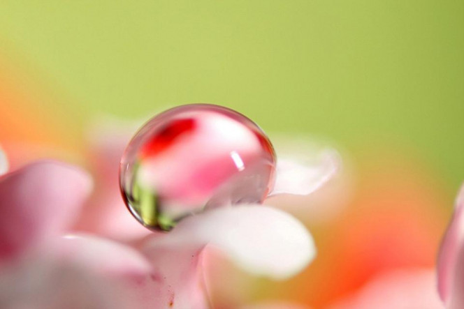 A Delicious image · #2873