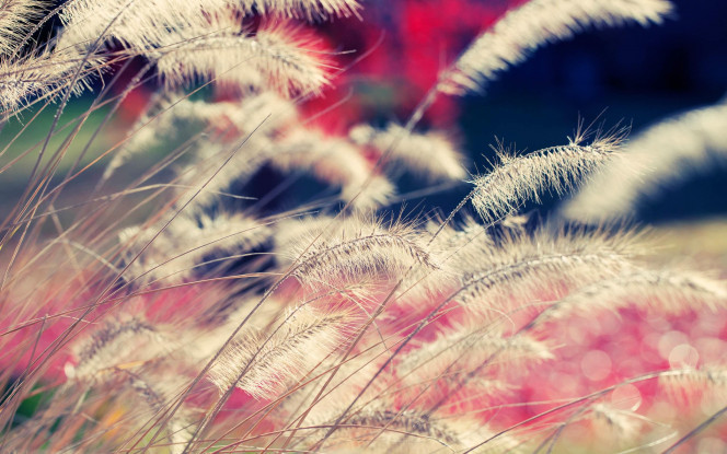 A Delicious image · #18