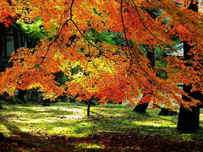 A Delicious image · #997