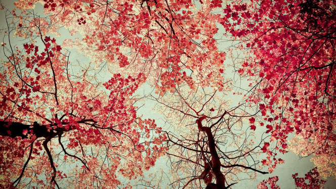 A Delicious image · #344